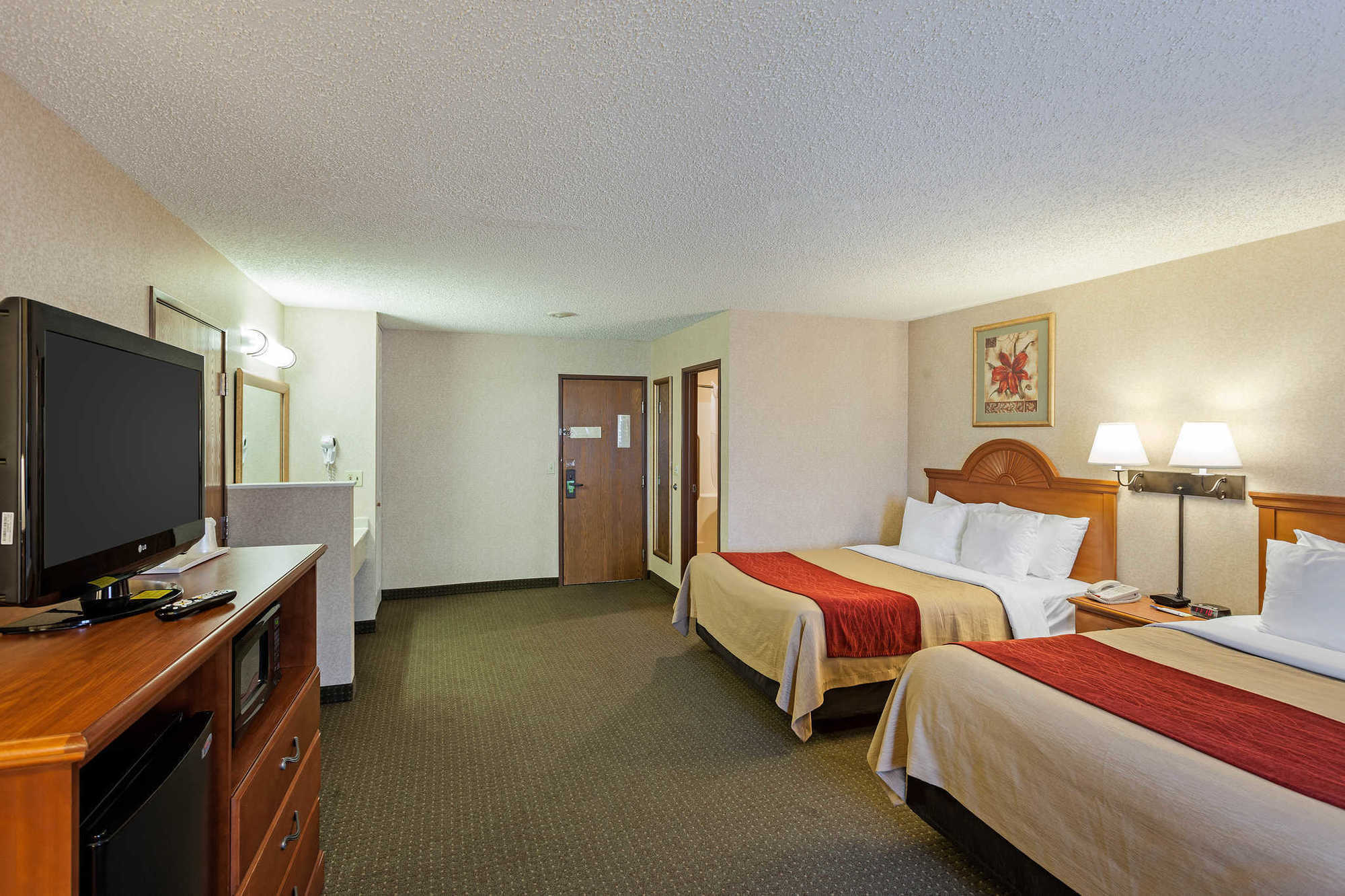 Comfort Inn Lexington Rum bild
